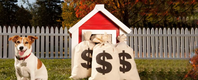 A imagem mostra um cachorro ao lado de uma casinha de cachorro com sacos de dinheiro na frente,
