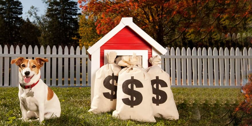 A imagem mostra um cachorro ao lado de uma casinha de cachorro com sacos de dinheiro na frente,